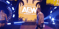 John Silver Wrestling GIF by AEWonTV