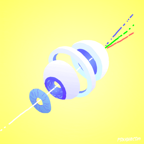 Animation Domination Fox GIF by gifnews