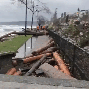 Debris Strewn Across Shore in White Rock, British Columbia, After Intense Windstorm