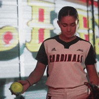 University Of Louisville Sport GIF by Louisville Cardinals
