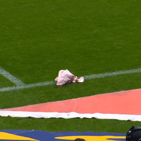 Coringaomagic palmeiras derby corinthians yuri alberto GIF