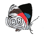 CokCoq butterfly mariposa 88 gifology Sticker