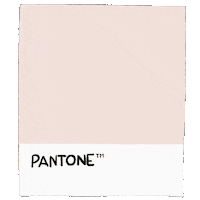 Color Branding Sticker