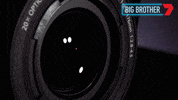 Big Brother Hello GIF by Big Brother Australia