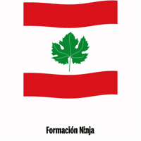 Castilla Y Leon Flag GIF by Formación Ninja