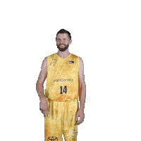 Liga Endesa Sport Sticker by ACB