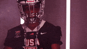 usafootball football usa football usafootball usnft GIF
