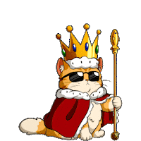 cat STICKER by imoji
