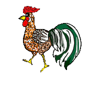 Rooster Chickens Sticker