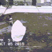 GIF by Demic