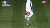 Chicago Cubs Win GIF by MLB