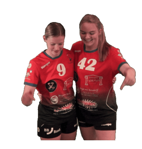 HSGHoKro giphyupload handball down kiel Sticker