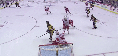 save detroit red wings GIF