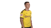 Proud Line Up Sticker by Bundesliga