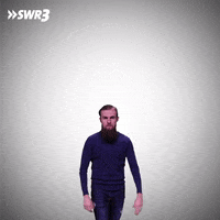 The End No GIF by SWR3