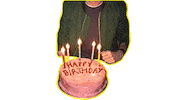 happy birthday cake Sticker by Bastille Dan