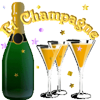 Champagne Bonne Annee Sticker