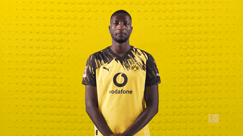 Borussia Dortmund Football GIF by Bundesliga