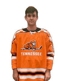 Ice Vols Sticker by Tennessee Hockey