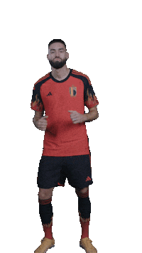 Football Sport Sticker by McDonald's Belgium