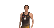 Sticker by Wasps
