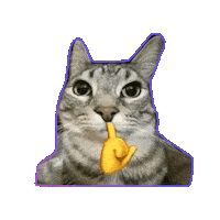 MKJQ cat funny cat m9k Sticker