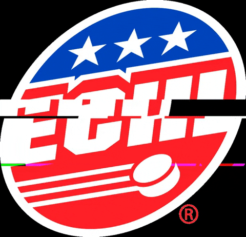 ECHLhockey giphygifmaker hockey echl GIF