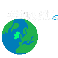 Limerick City Plane Sticker by University of Limerick