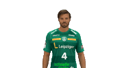 Handball Leipzig Sticker by SCDHFK