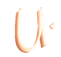 Orange Abc Sticker