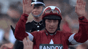 happy horse racing GIF by The Jockey Club