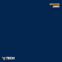 Softball GIF by WVU Tech Golden Bears