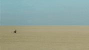 Road Trip Desert GIF by Kino Lorber