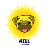 summer pug Sticker by Jose Cuervo