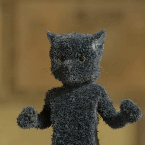 Who Knows Idk GIF