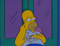 homer simpson GIF