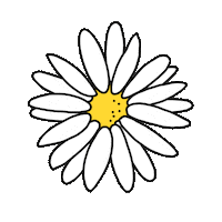 Summer Flower Sticker by Ivo Adventures