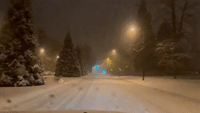 Snow Whitens Vancouver Streets Amid Warnings