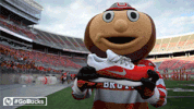 Ncaa Sports GIF by Ohio State Athletics