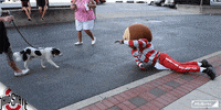 Ncaa Sports GIF by Ohio State Athletics