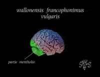 Snuls admin belgique les snuls belge GIF