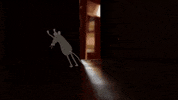 ambulante ambulantito ambulante2020 ambulantedequince GIF