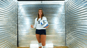 Toledo Volleyball GIF by Toledo Rockets