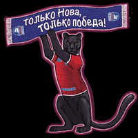 VolleyVFV volleyball nova волейбол нова GIF