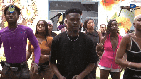Bbnaija GIF by Big Brother Naija