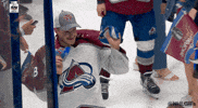 Ice Hockey Hug GIF by NHL