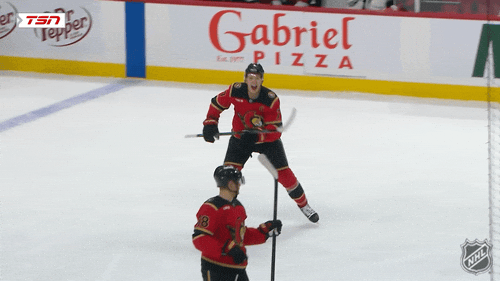 Happy Ottawa Senators GIF by NHL