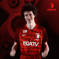 Goal Bundesliga GIF by FC Augsburg 1907