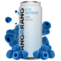 Sticker by Bangarang Hard Seltzer