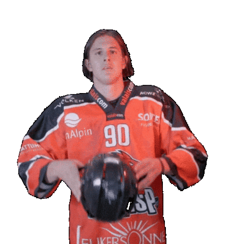 Eishockey Sticker by EHC Visp